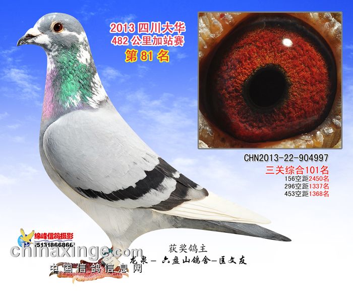 ţ