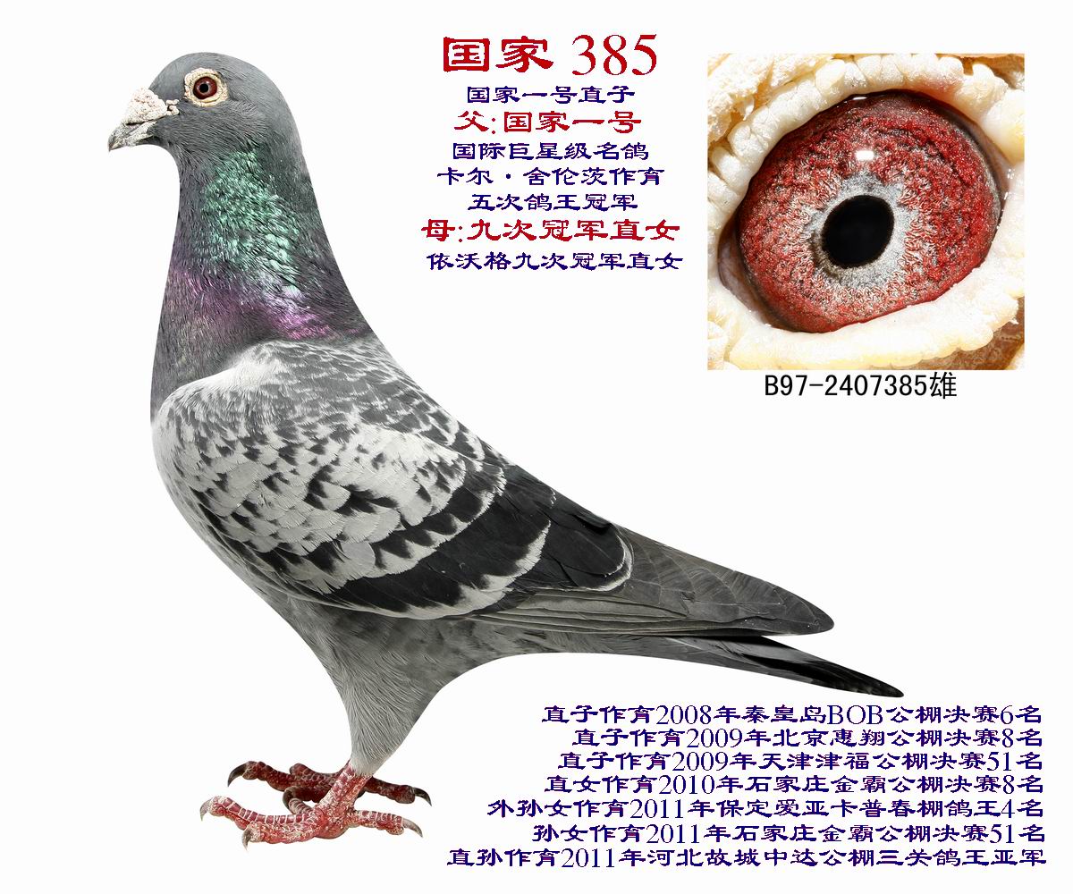 雷霆万丈 X279324.jpg