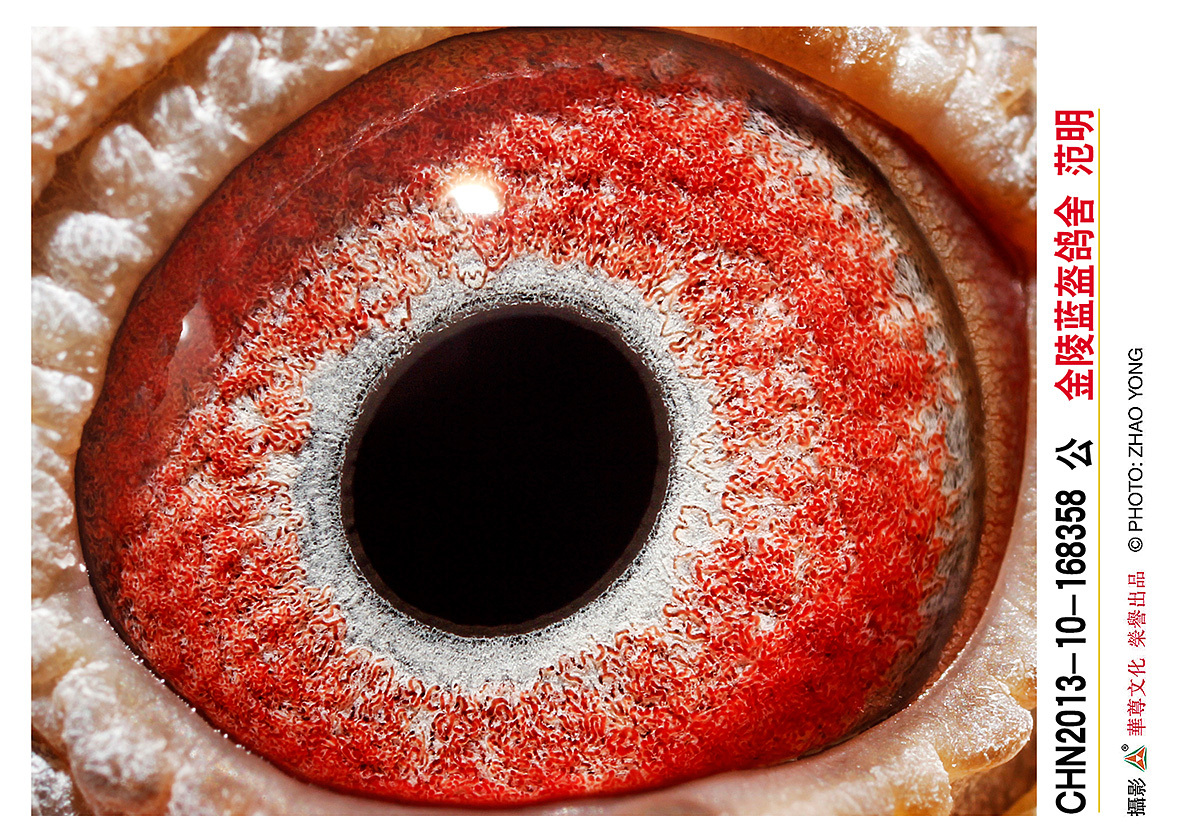 19岁姆巴佩梅开二度 造点主宰比赛