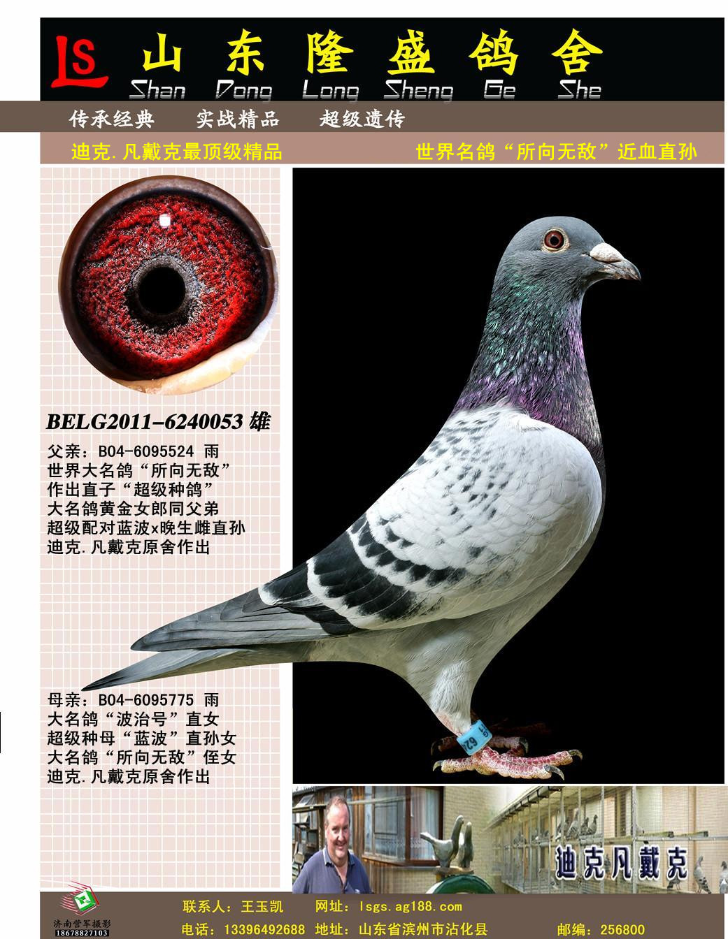 �����������޵�ֱ������