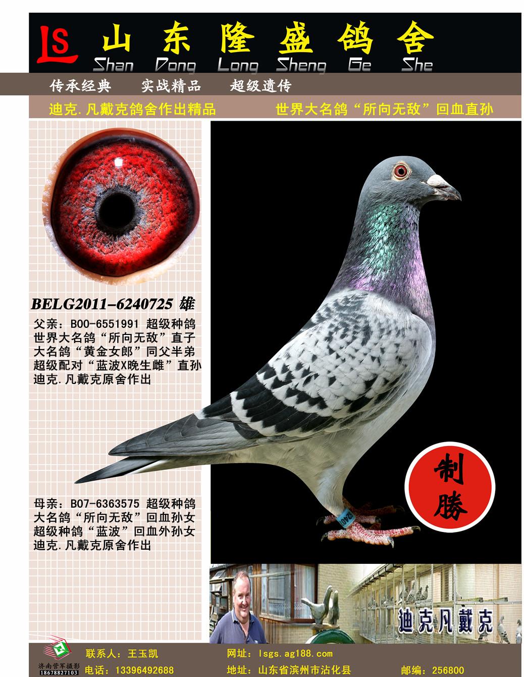 �����������޵�ֱ������