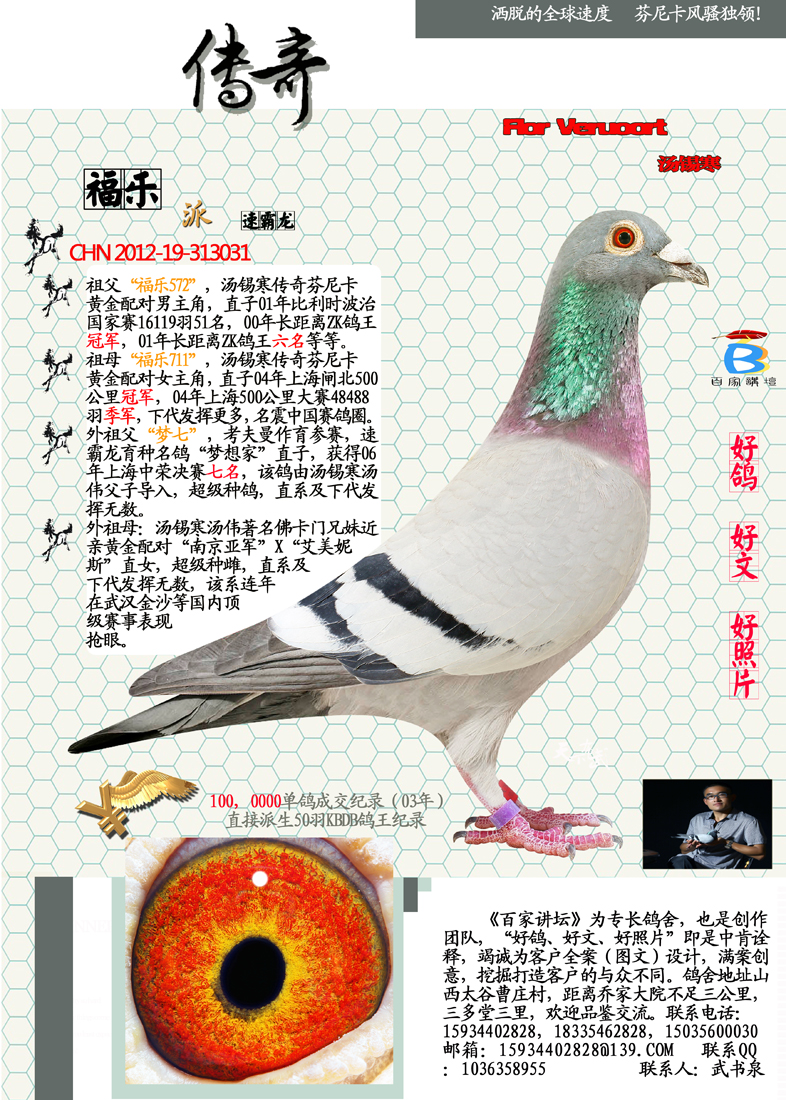 别:             雄                         目 录:  "芬尼卡5000"