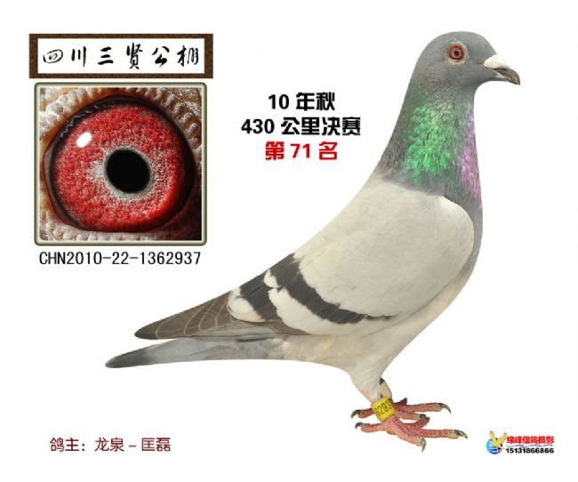 (j)73