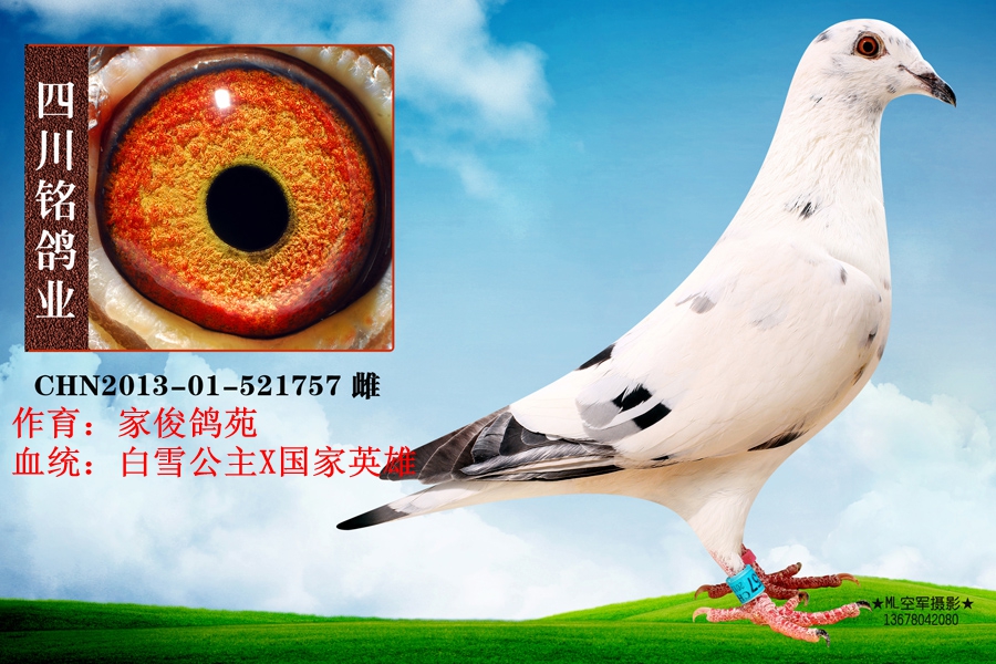 白雪公主孙