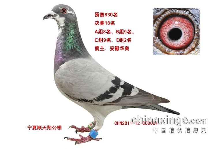 AW   684