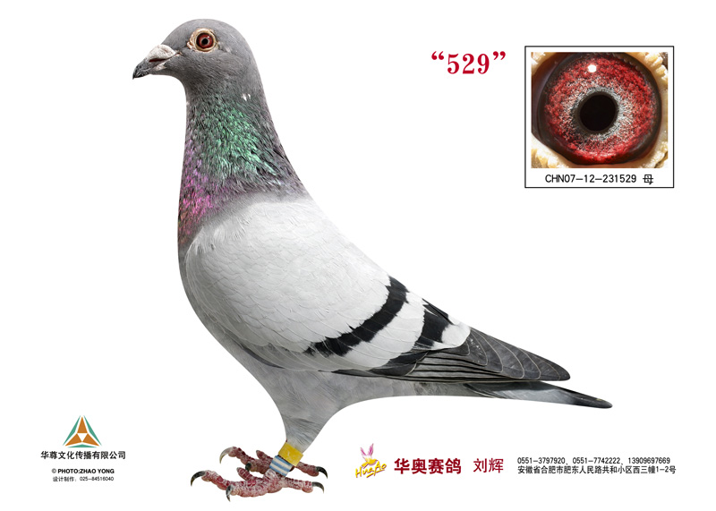 特比冠軍