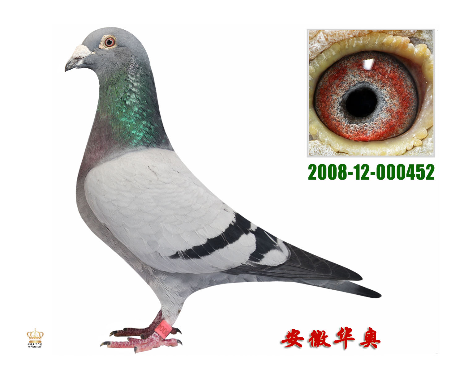 AW 452