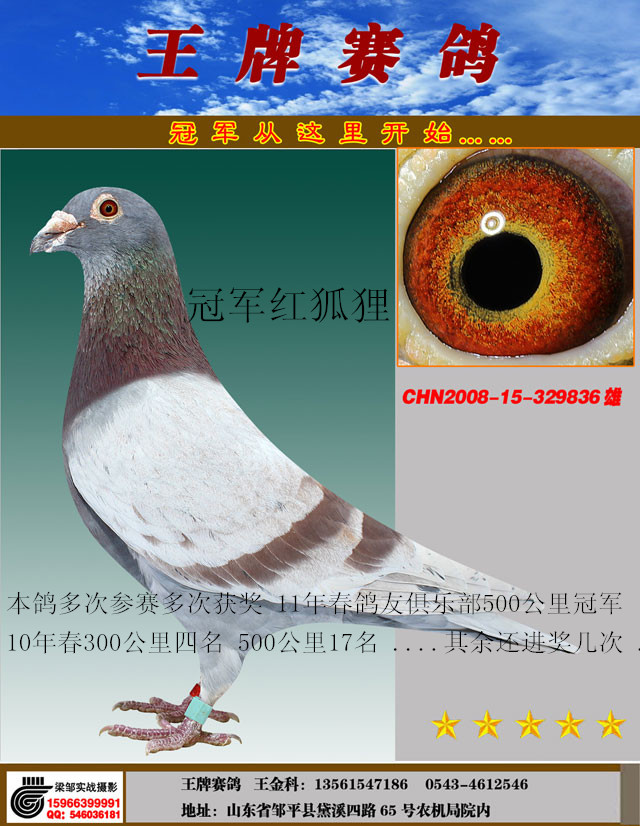 ܊t-836