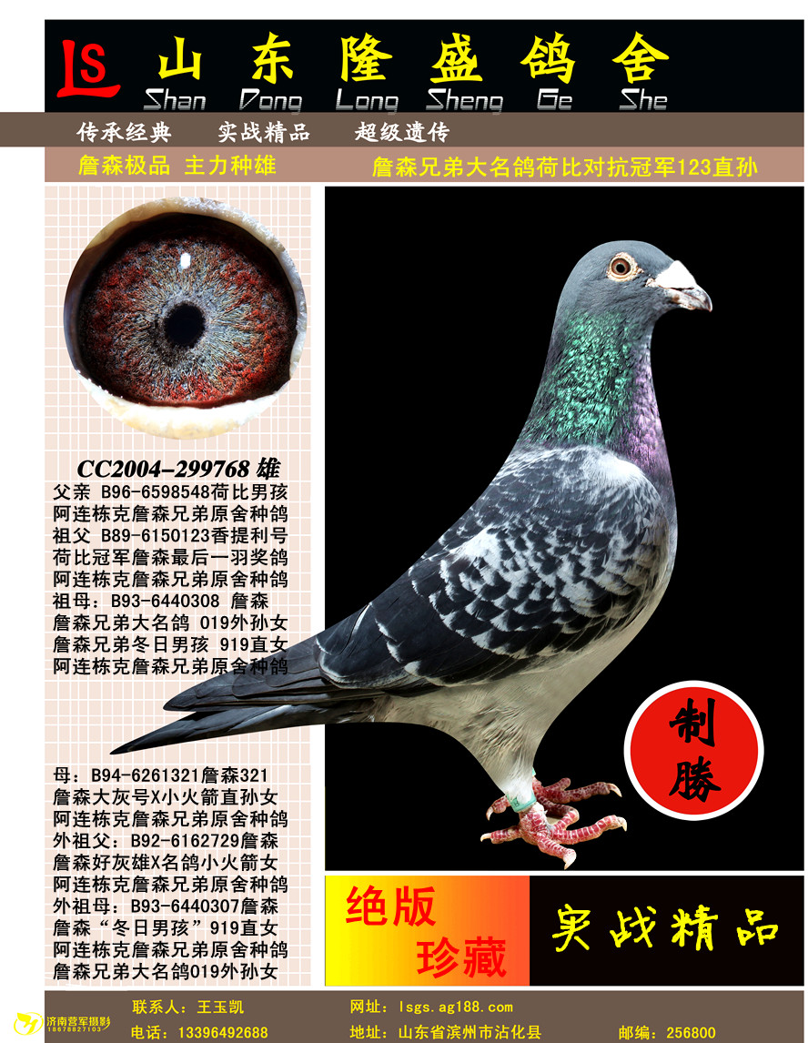 �ɱȶԿ��ھ�123ֱ��