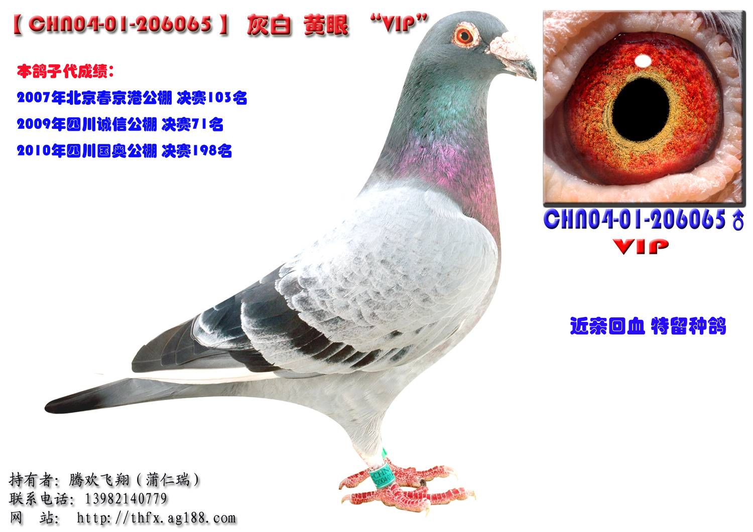 CHN04-01-206065 VIP