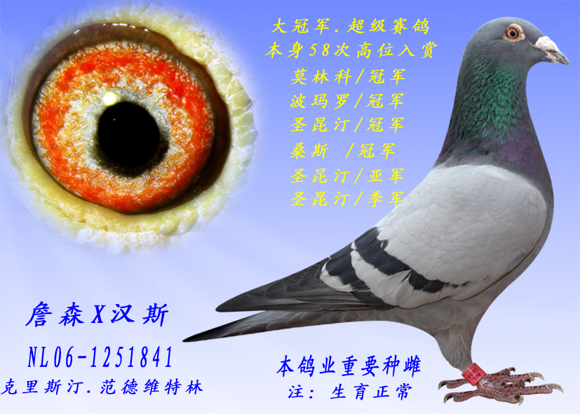 ҪN֮һ