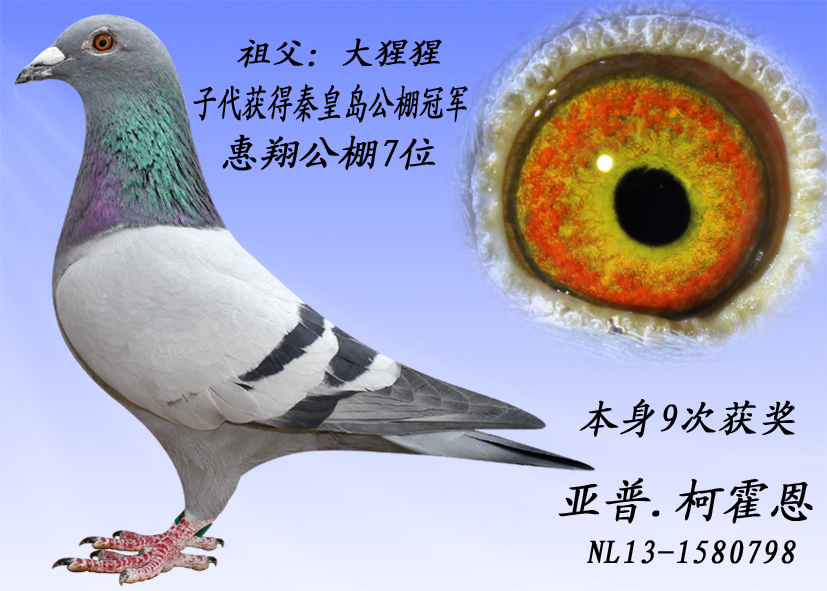 տ˻