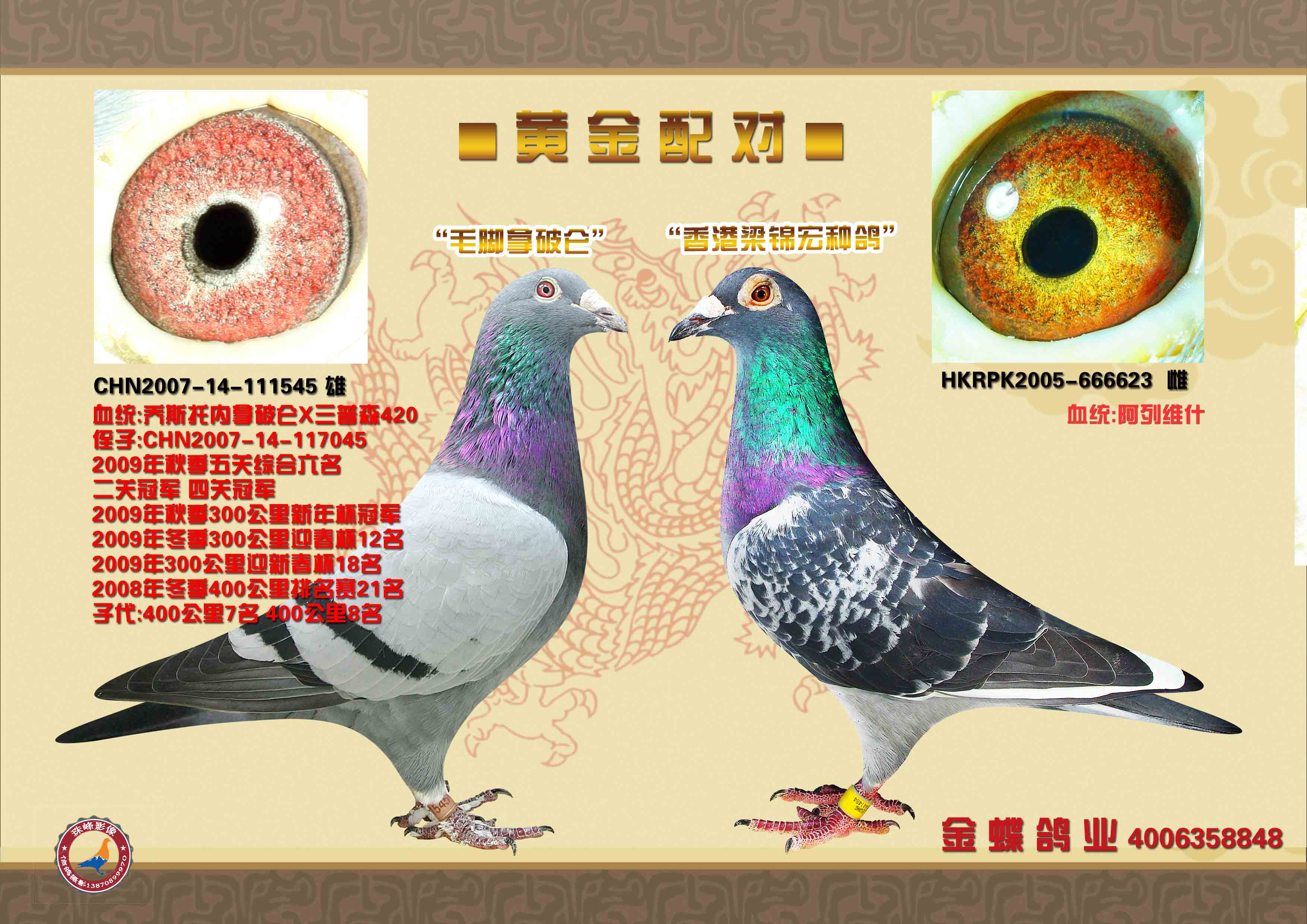 黄金配对之一