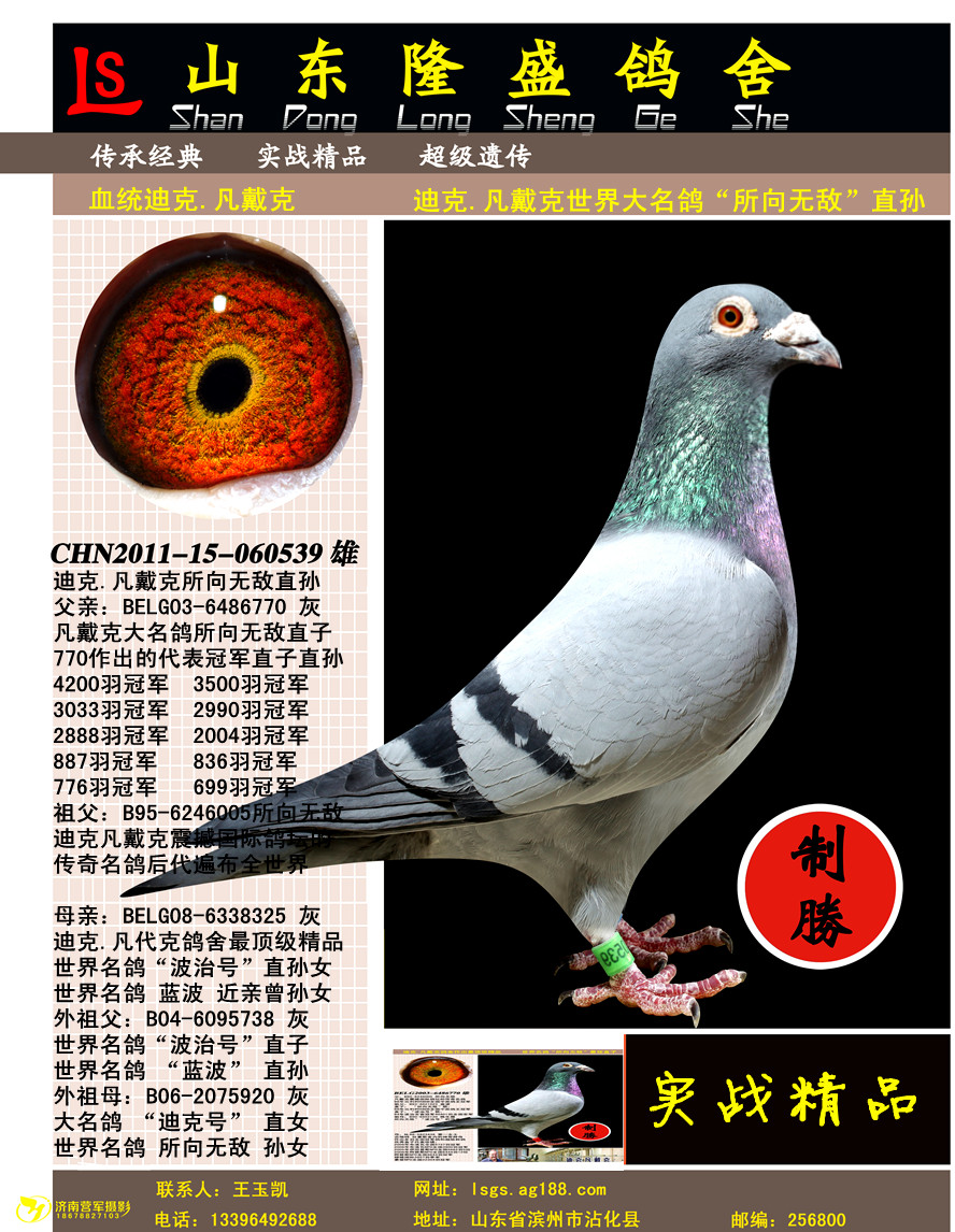 �����������޵�ֱ������