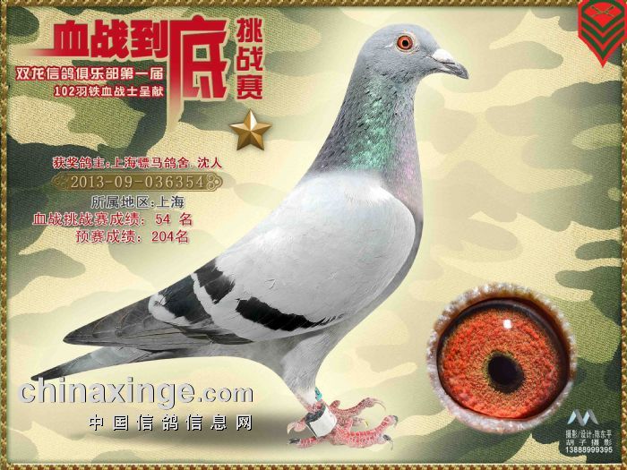 R6354