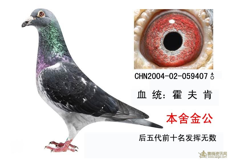 本舍金公霍夫肯