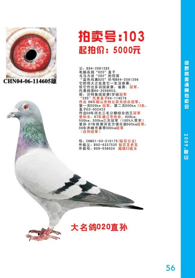 绿野原舍-戈马力020直孙