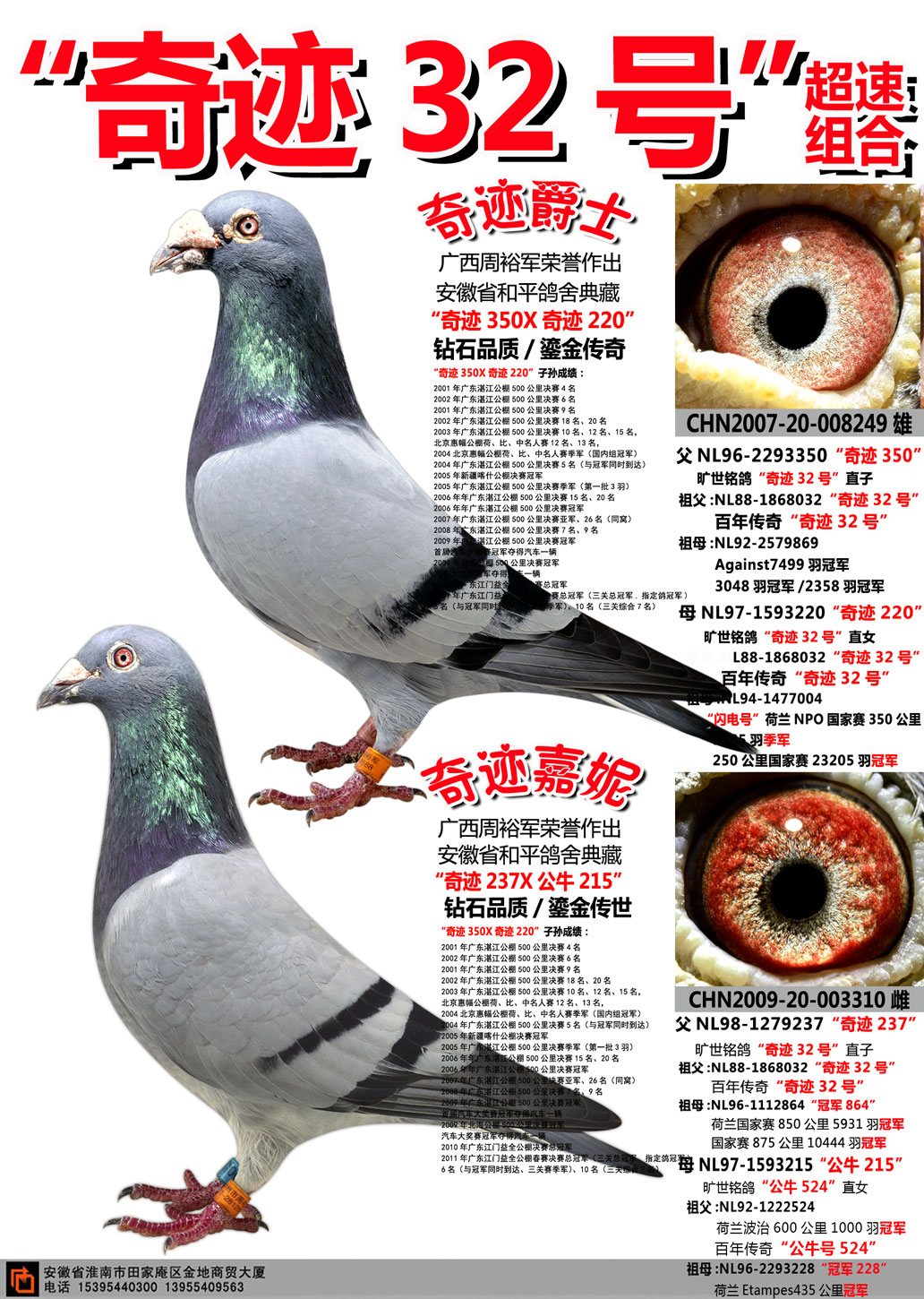 "奇迹32号"超速组合