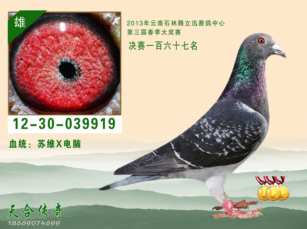 石林167名