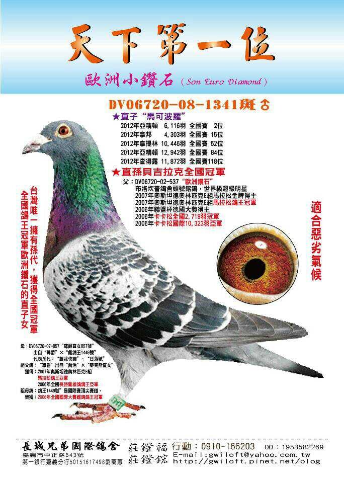 欧洲小钻石
