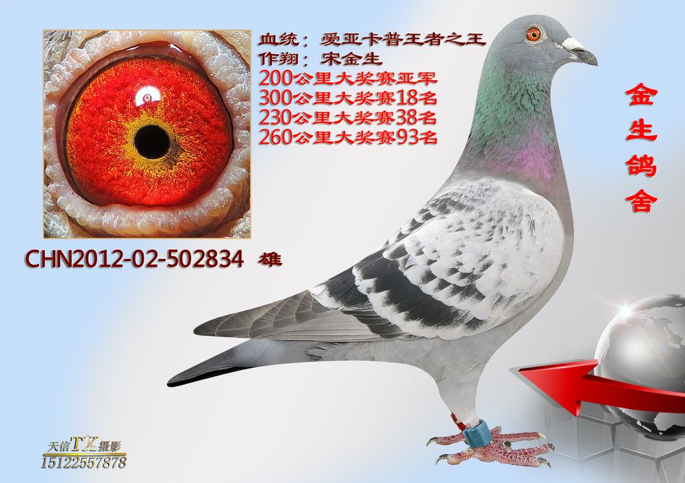 次                血 统: 爱亚卡普-王者之王