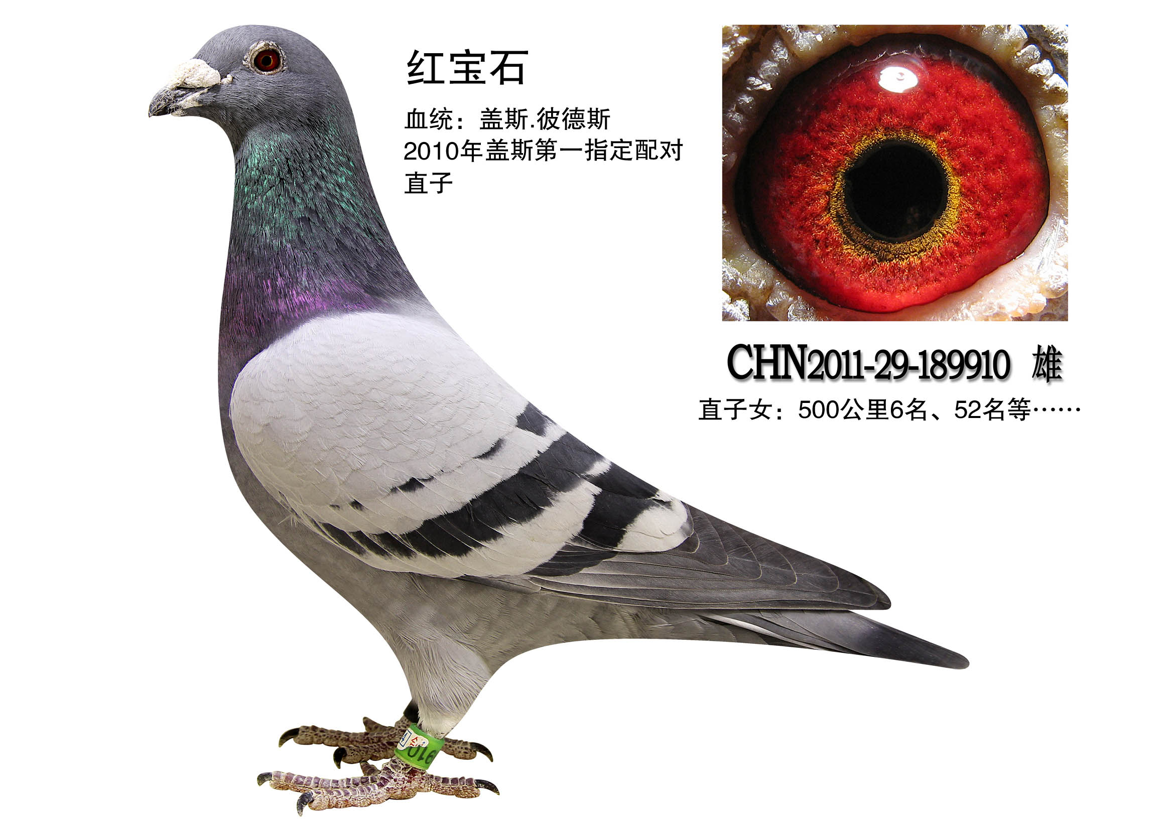 红宝石