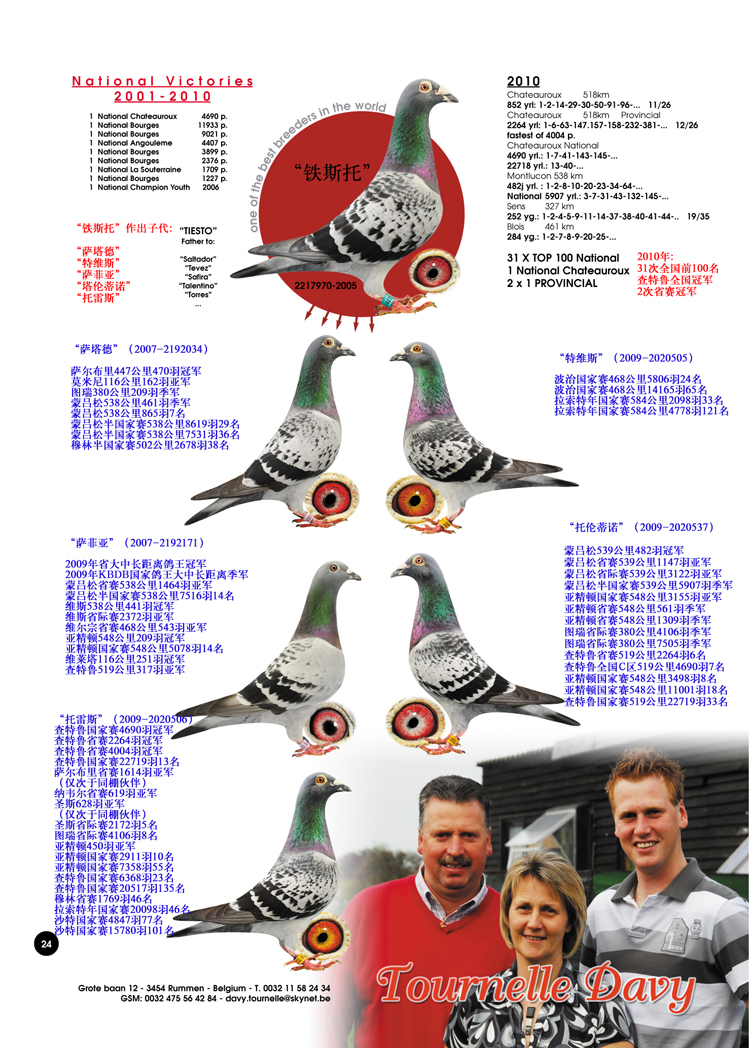 戴维吐尼尔铁斯托直子_彦滨鸽舍_ag188.com爱鸽商城