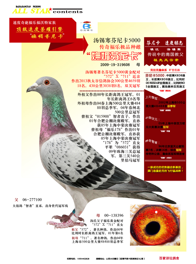 妩媚芬尼卡