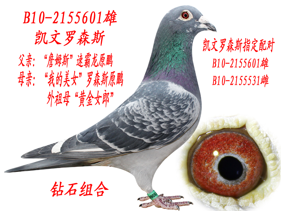 P._ɭ˹ ԭ