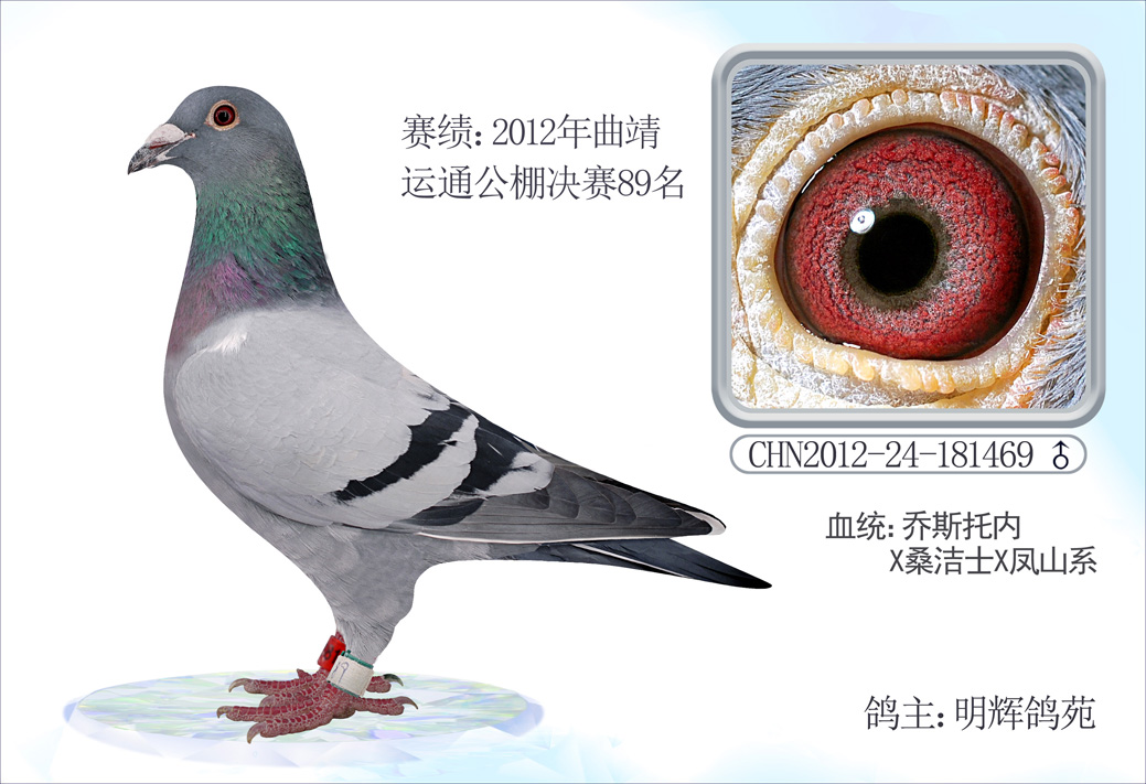 乔斯托内