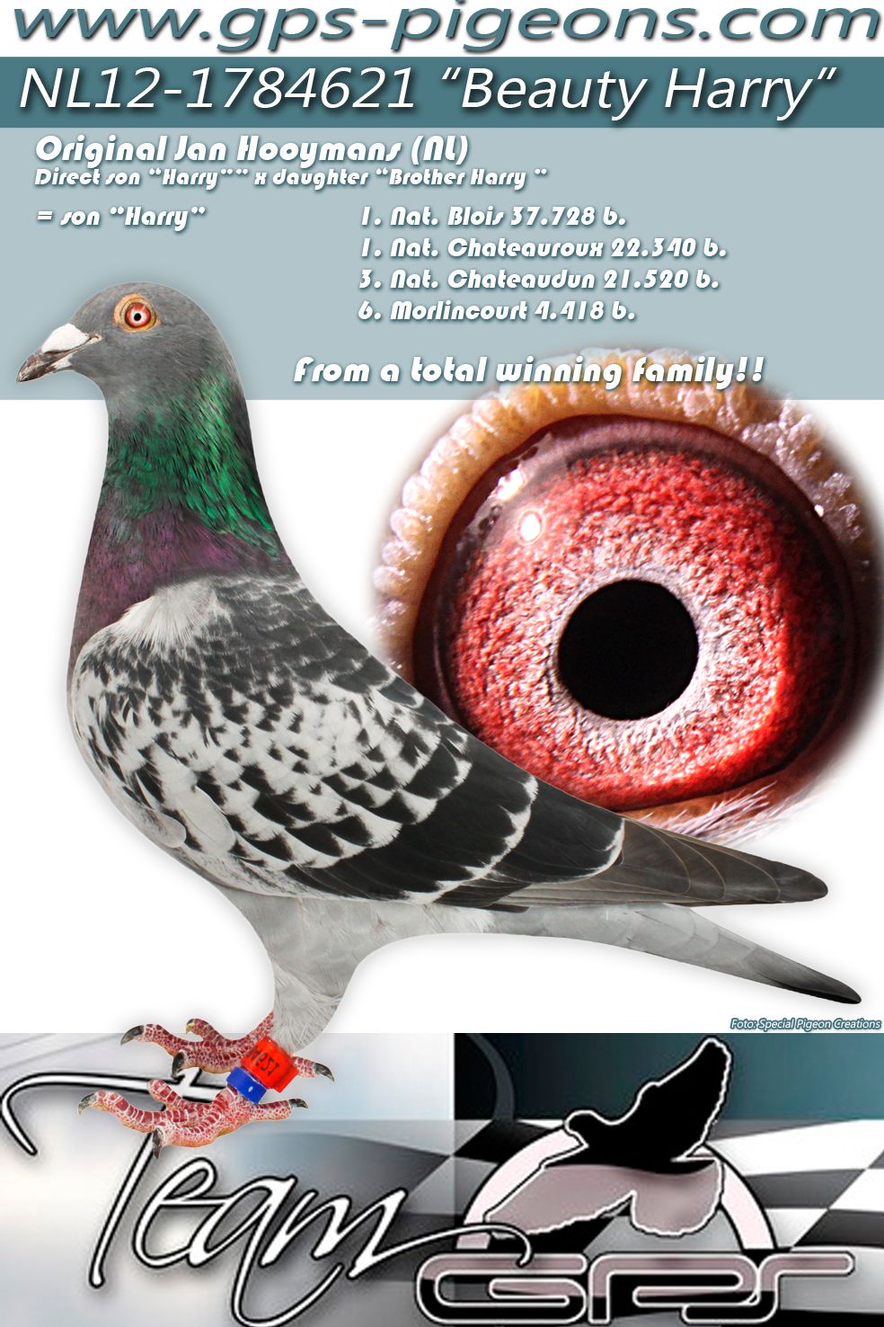 in department 7, one of his sons won a 9th npo troyes against 6