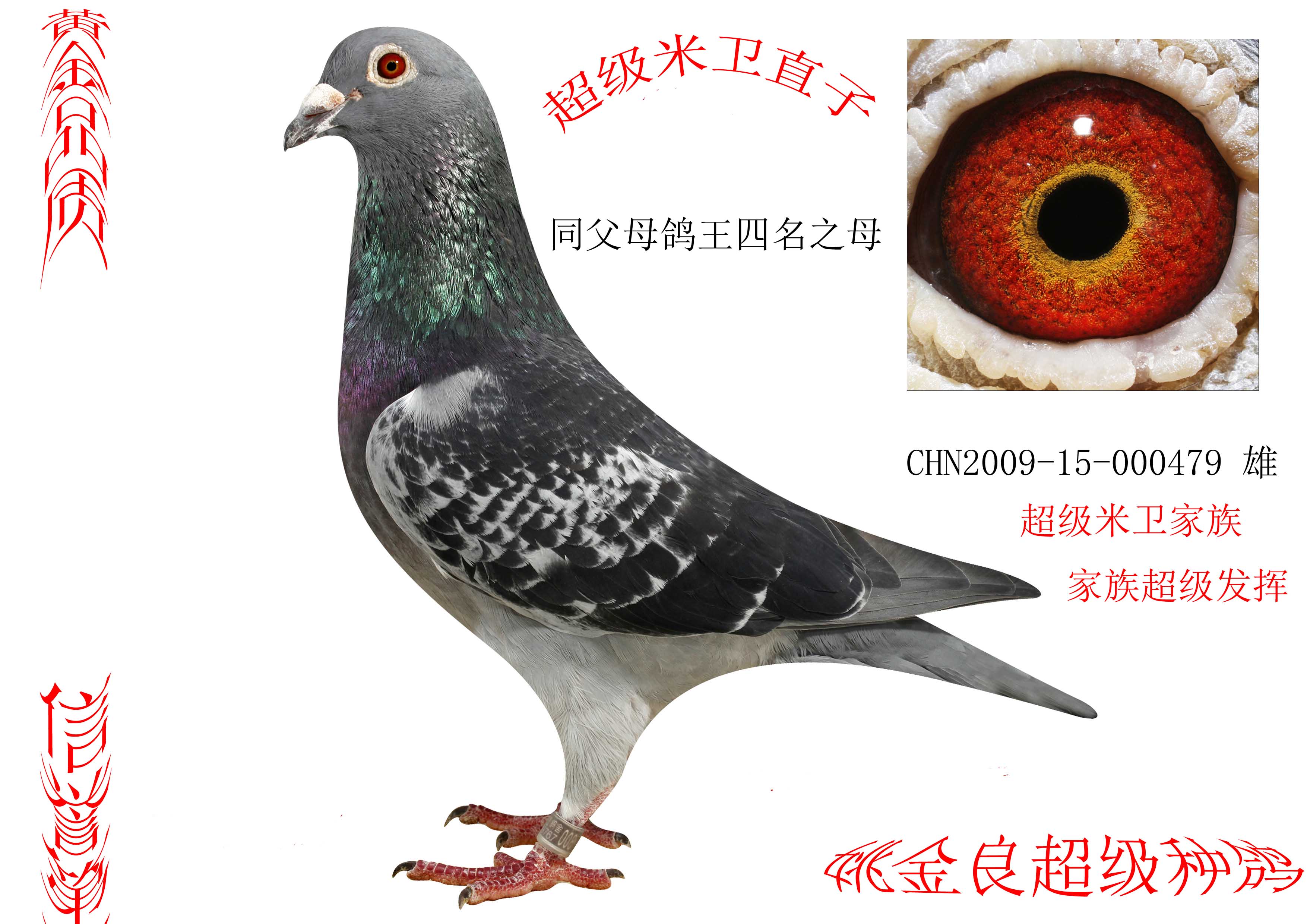 超级米卫直子