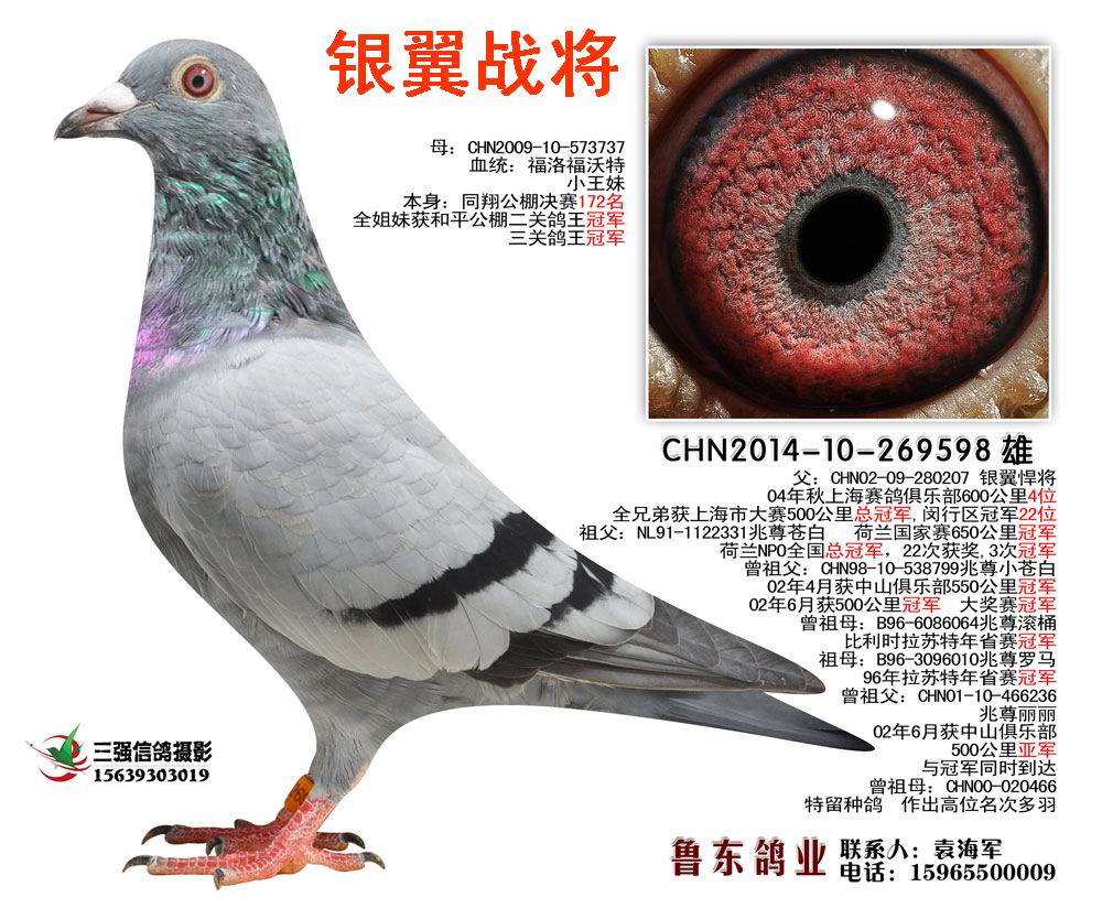 银翼战将