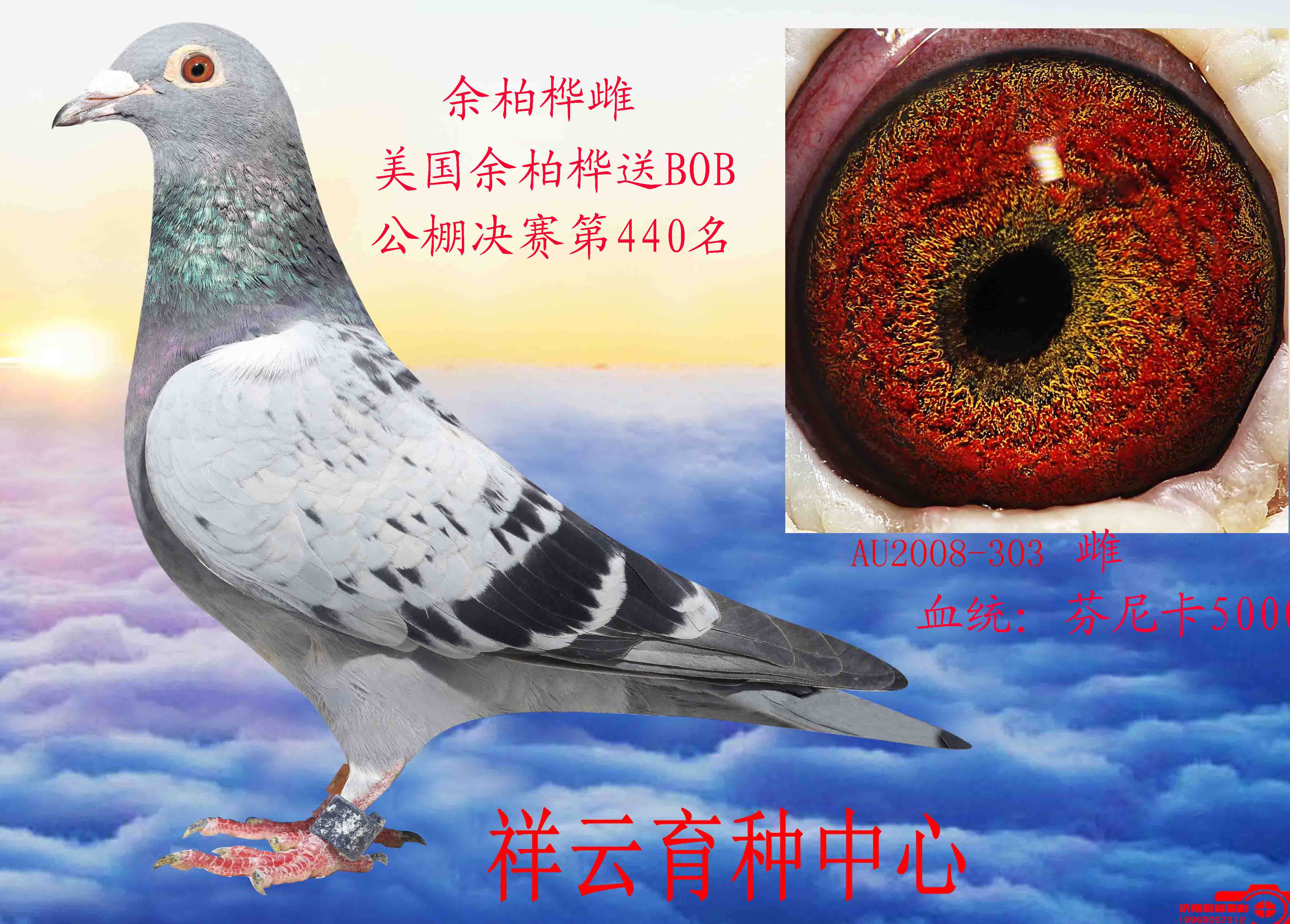 余柏桦雌