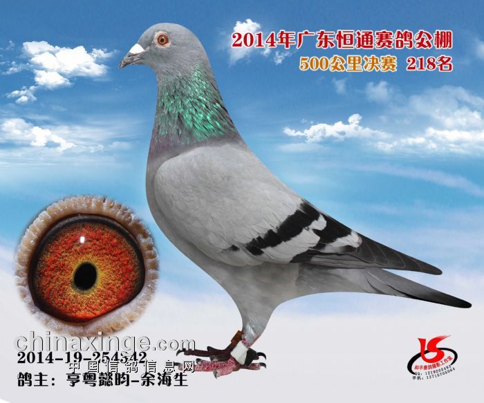 ݺͨ218