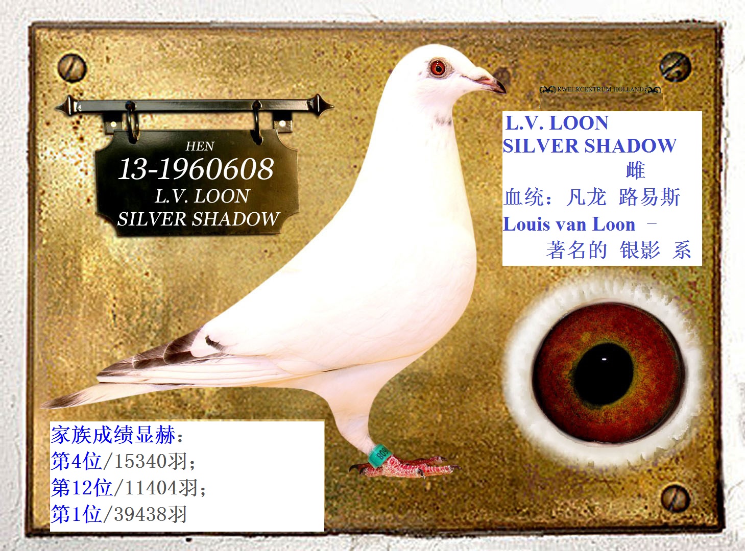 凡龙 路易斯