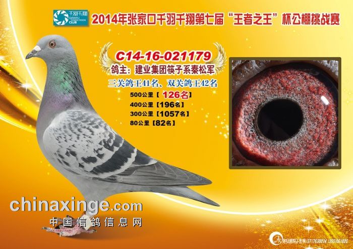 ҿǧǧ蹫Qِ126
