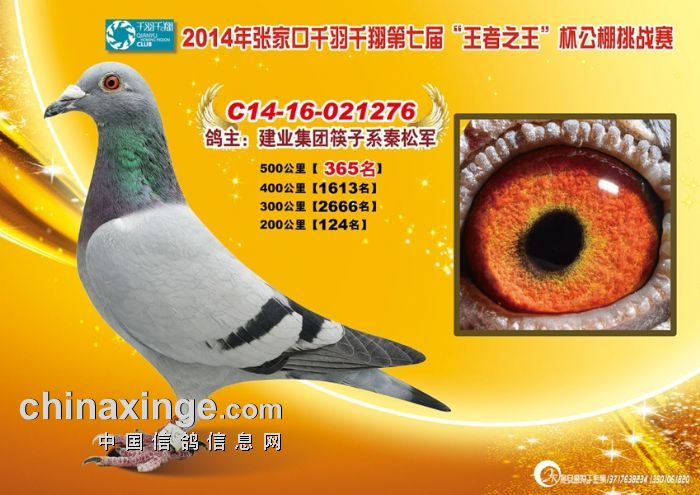 ҿǧǧ蹫Qِ365