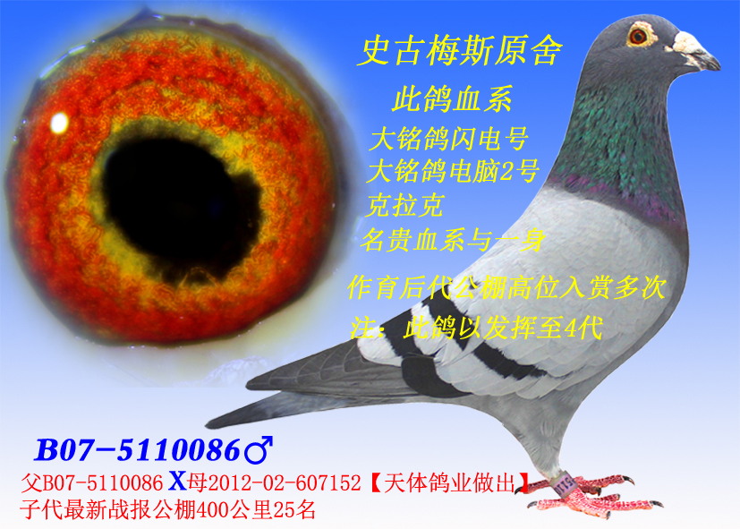 ʷ÷˹