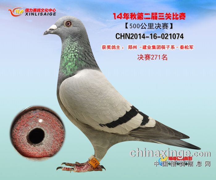 Qِ271