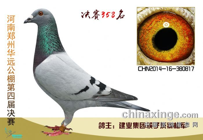 Ah(yun)Qِ358