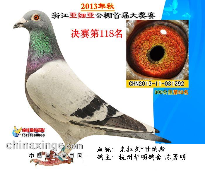 14年秋温州振宇决赛124名