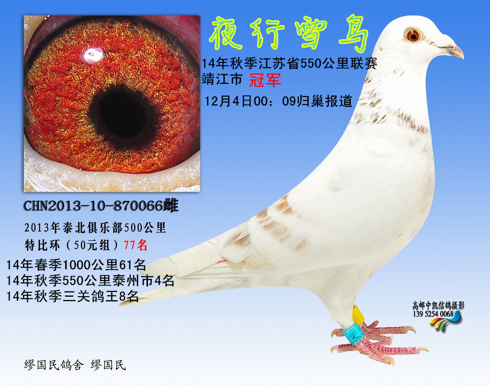 ҹѩB