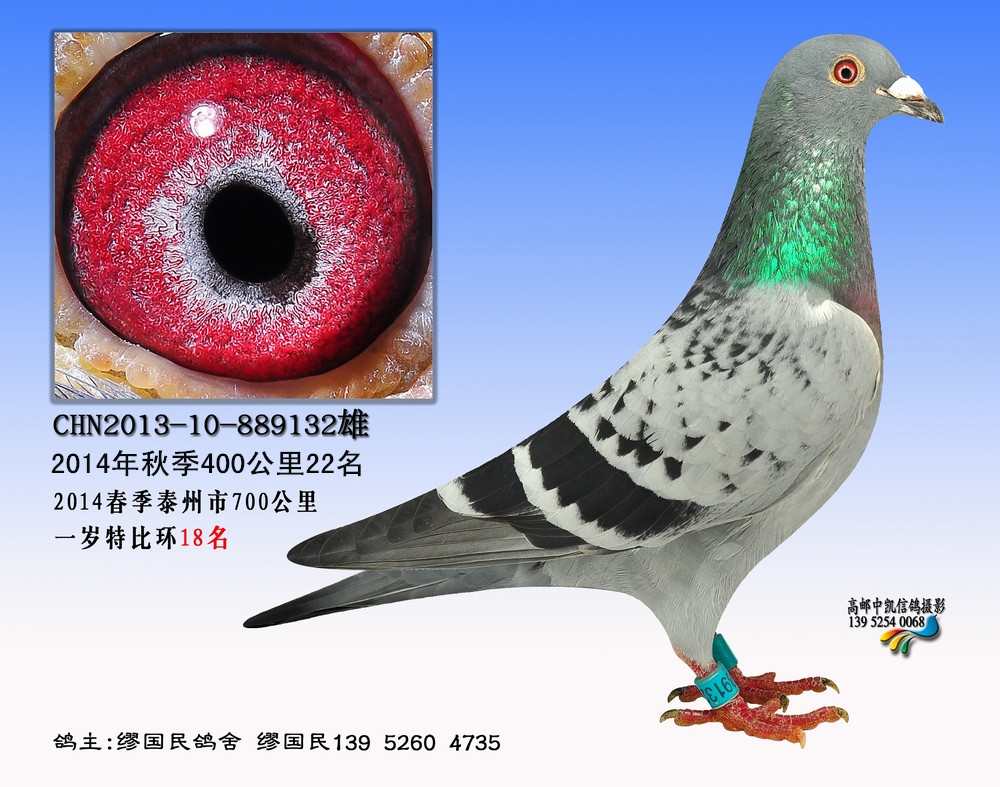 霍夫肯132
