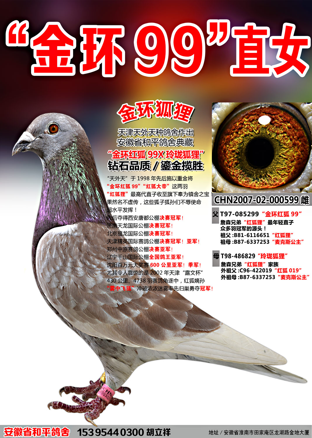 詹森红狐狸孙金环红狐99直女【金环狐狸】