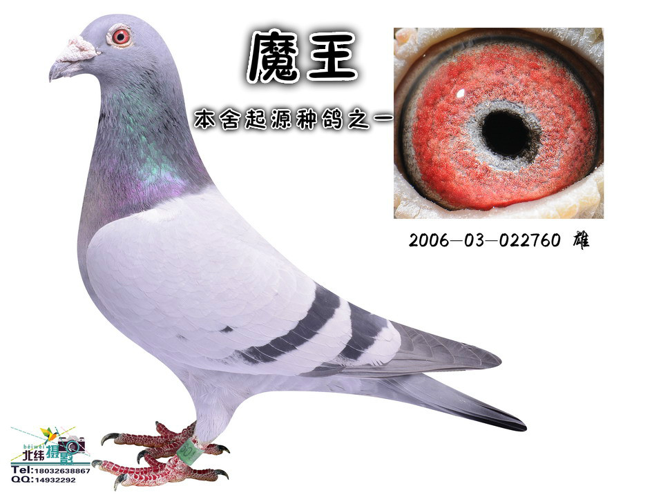 ħ