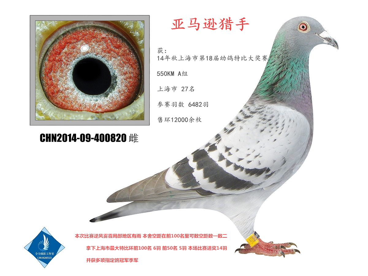 RdC  D(zhun)