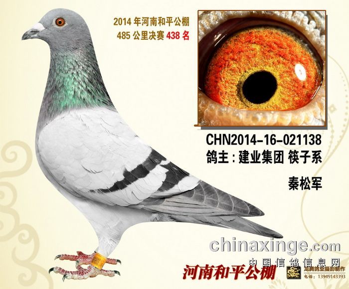 ݺƽQِ438