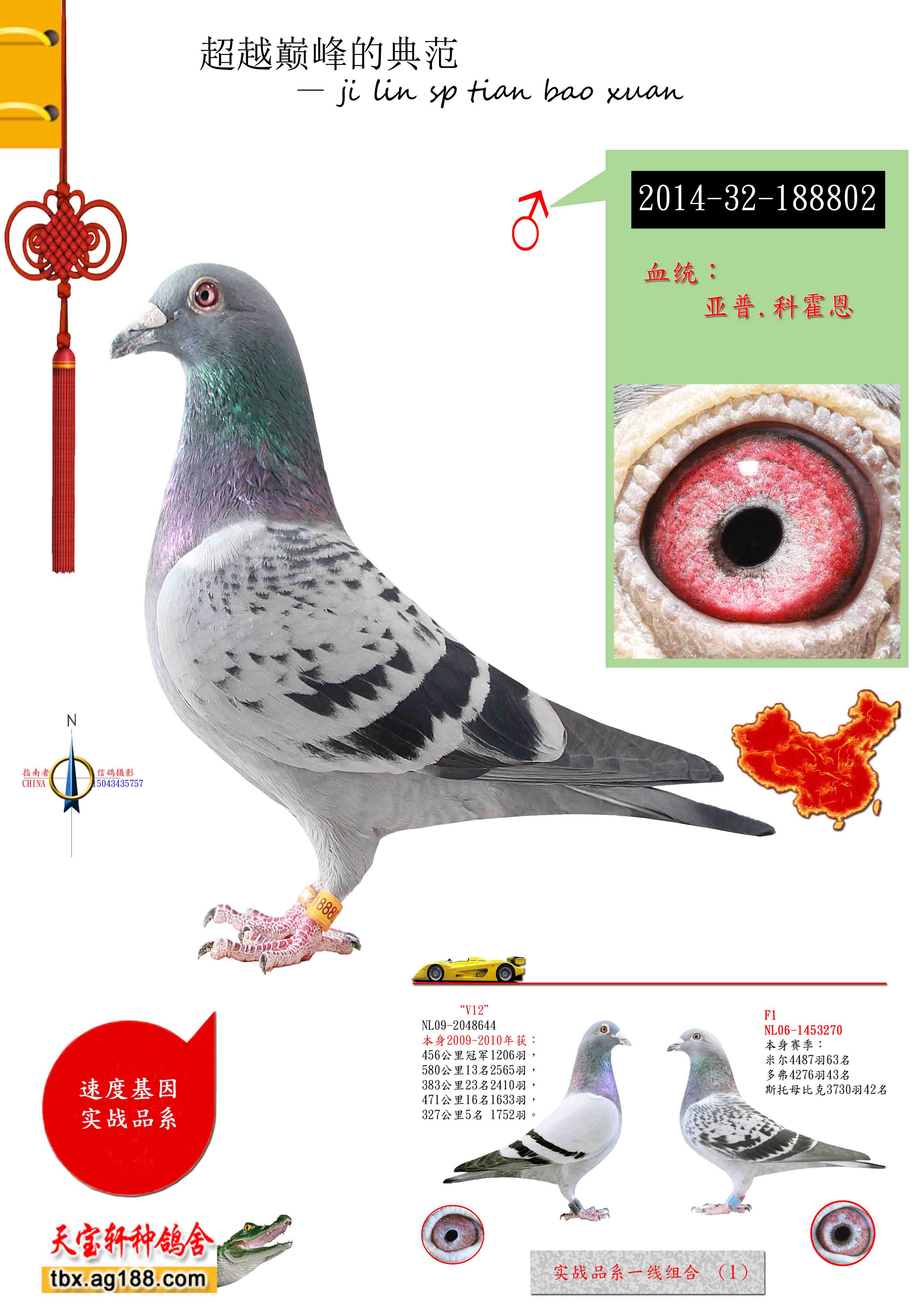 ����.�ƻ���