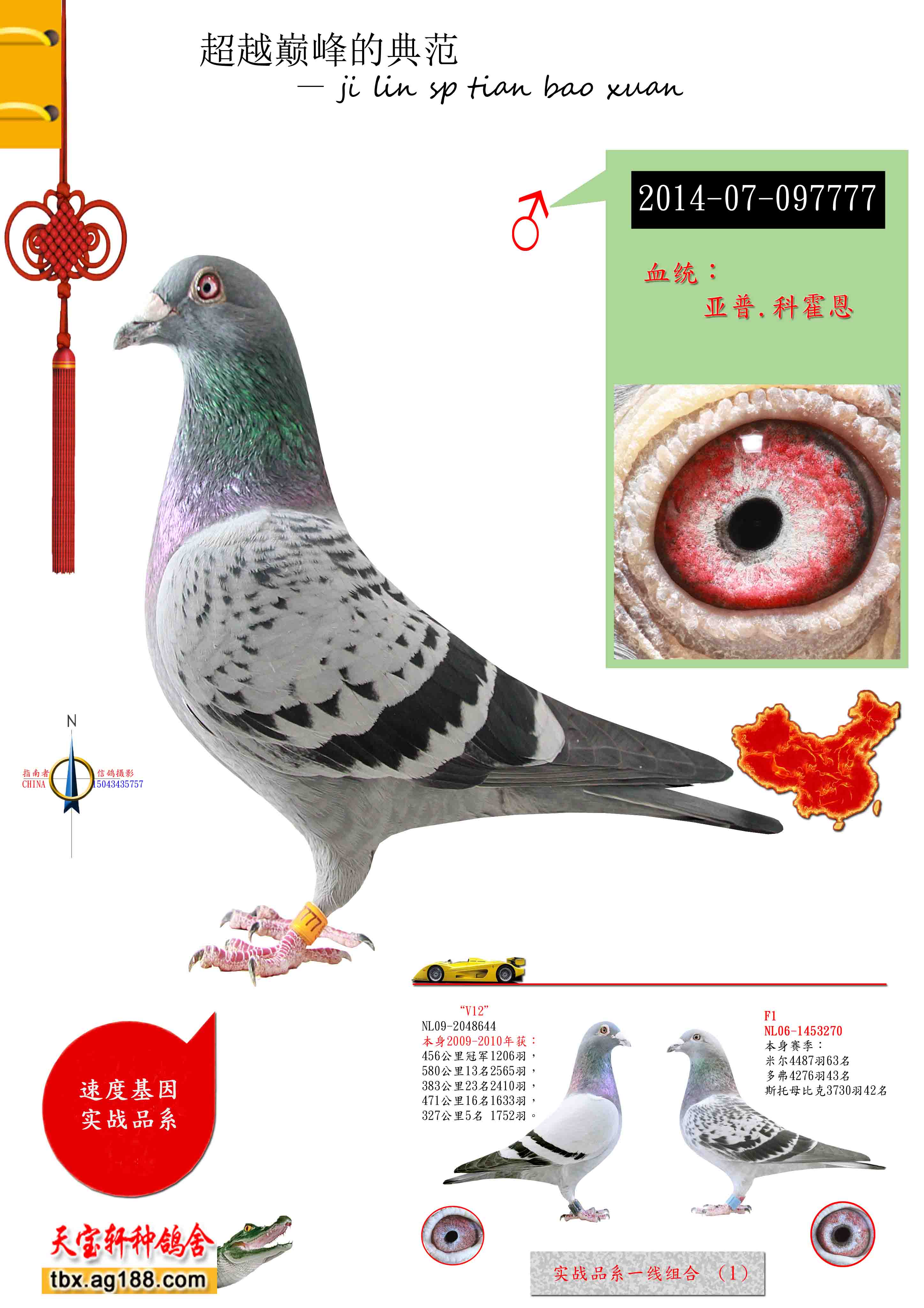 ����.�ƻ���